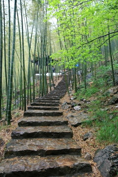 江蘇 宜興 戶外 竹海風(fēng)景區(qū)