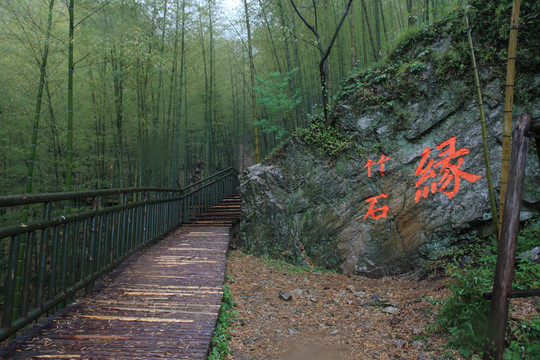 江蘇 宜興 戶外 竹海風景區(qū)