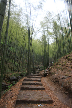 江蘇 宜興 戶外 竹海風(fēng)景區(qū)