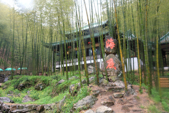 江蘇 宜興 戶外 竹海風(fēng)景區(qū)