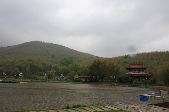 江蘇 宜興 戶外 竹海風景區(qū)