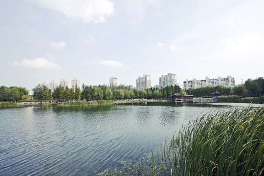 上海 浦東 金橋公園
