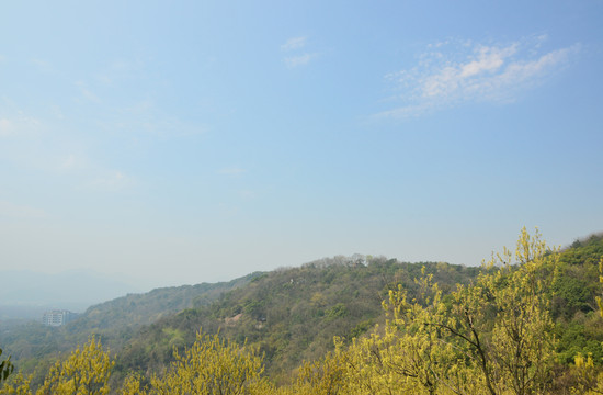 山 風(fēng)景
