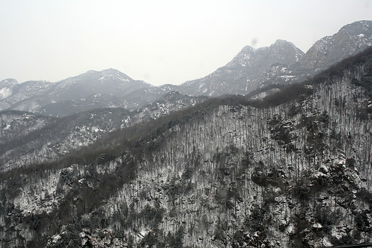 泰山雪景