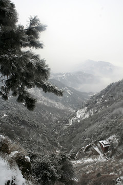 泰山雪景