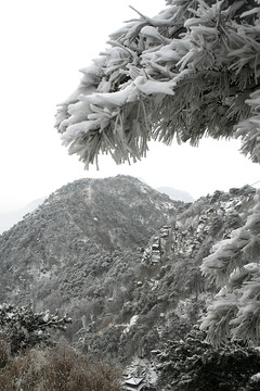 泰山雪景