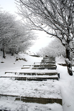 泰山雪景