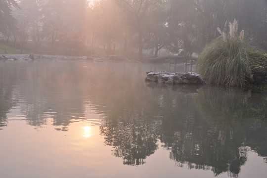 西湖 太子灣 晨霧 秋 日出