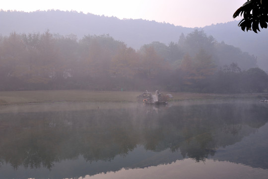 西湖 太子灣 晨霧 秋 日出