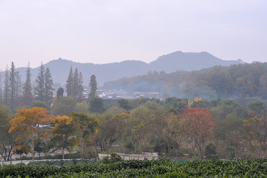 西湖 茅家埠 晨霧 炊煙 日出