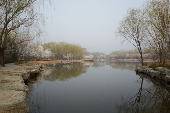 北京植物園jpg