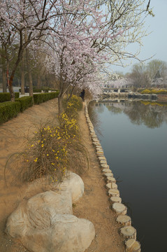北京植物園jpg