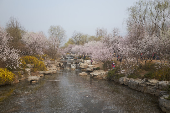 北京植物園jpg