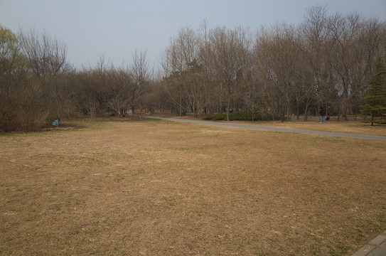北京植物園jpg