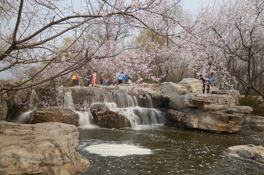 北京植物園jpg
