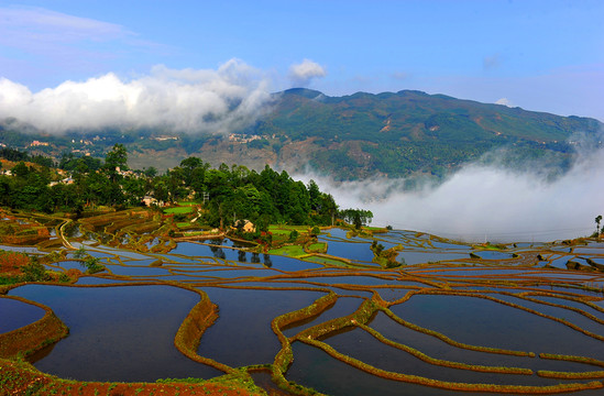 元陽(yáng)梯田