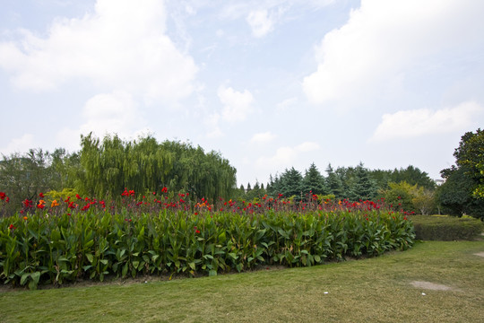 上海 浦東 金橋公園 休閑場(chǎng)所