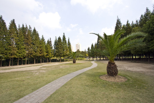 上海 浦東 金橋公園 休閑場(chǎng)所