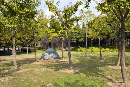 上海 浦東 金橋公園 休閑場(chǎng)所