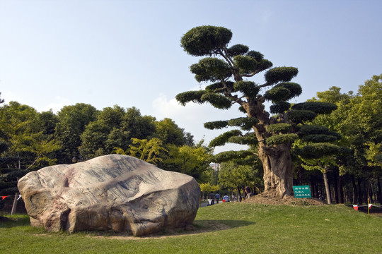 上海 浦東 金橋公園 休閑場(chǎng)所