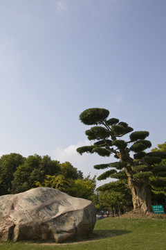 上海 浦東 金橋公園 休閑場(chǎng)所