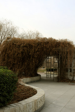北京 亦莊 城市公園