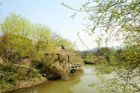 景點 農(nóng)家樂