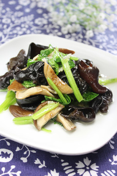 蘑菇炒木耳
