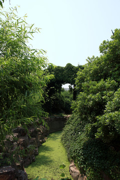 蘇州 太湖 西山 鳳凰臺 風景