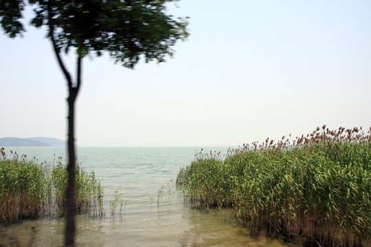 蘇州 太湖 西山 風(fēng)景區(qū) 戶外