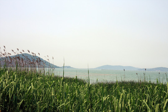 蘇州 太湖 西山 風景區(qū) 戶外