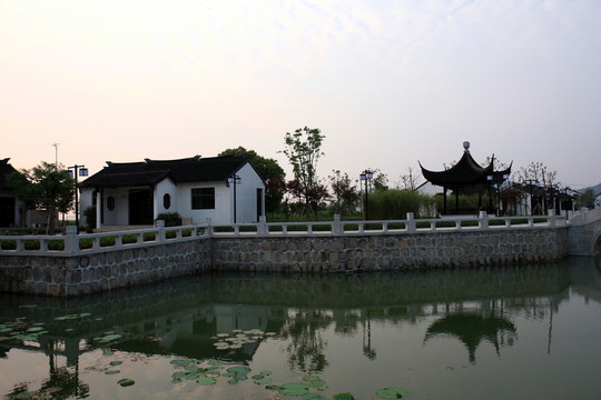 蘇州 太湖西山 濕地公園 戶外