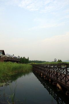 蘇州 太湖西山 濕地公園 戶外