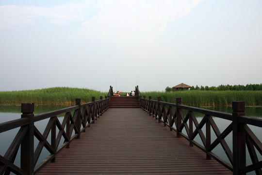 蘇州 太湖西山 濕地公園 戶外