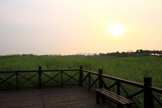 蘇州 太湖西山 濕地公園 戶外