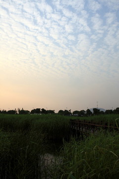 蘇州 太湖西山 濕地 公園 戶