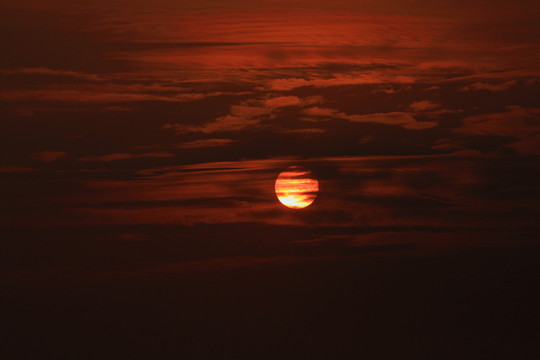 蘇州 太湖西山 濕地公園 戶外