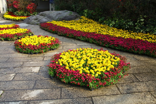 花圃