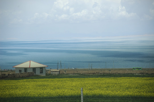 青海湖