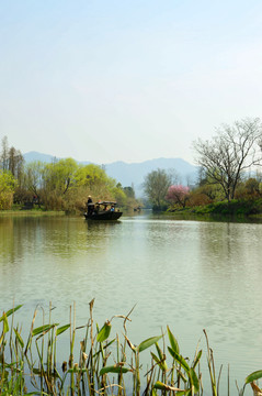 濕地 公園