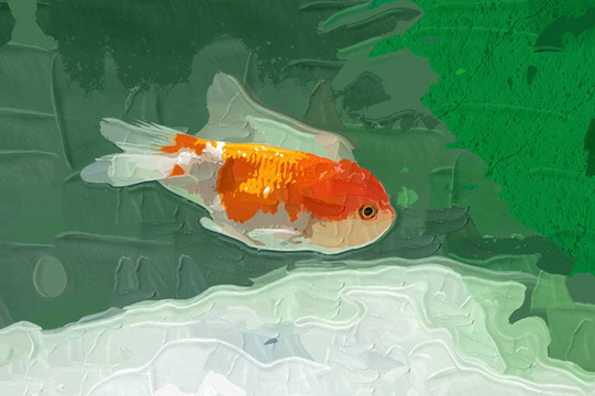 金魚 裝飾畫