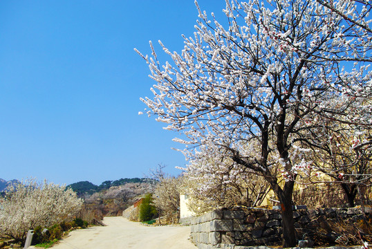 美麗山村