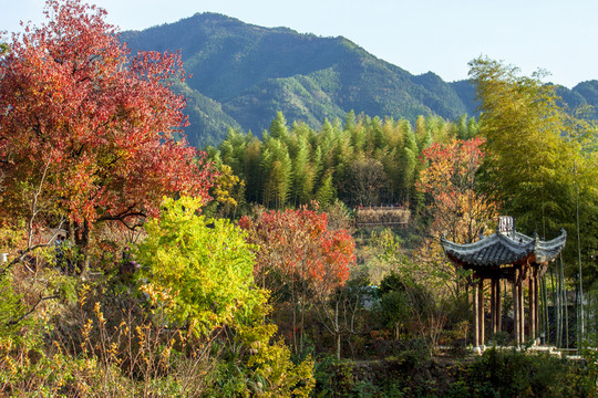 皖南塔川風(fēng)光（高清圖）