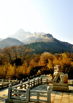 金秋大山石獅子