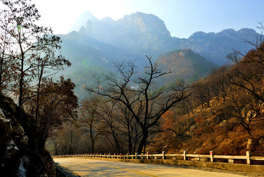 通向山外的路
