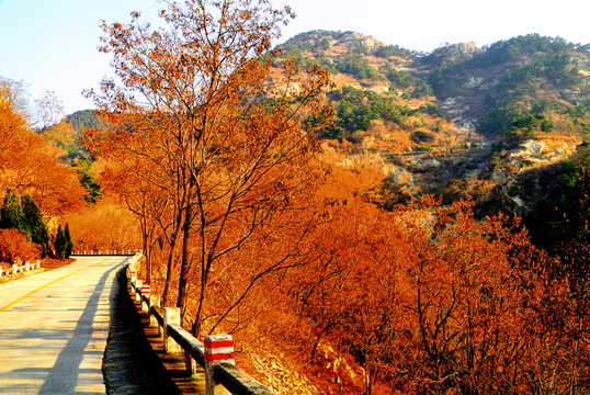 山路通向大山深處