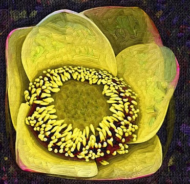 抽象畫(huà) 裝飾畫(huà) 油畫(huà) 無(wú)框畫(huà)