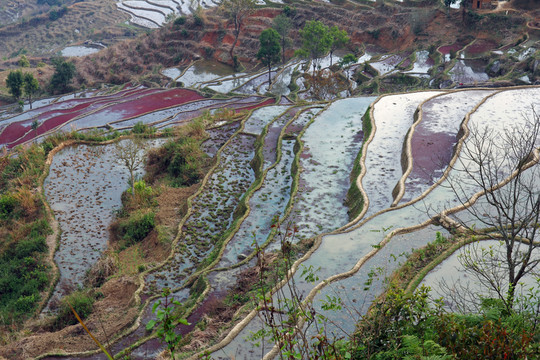 元陽(yáng)梯田