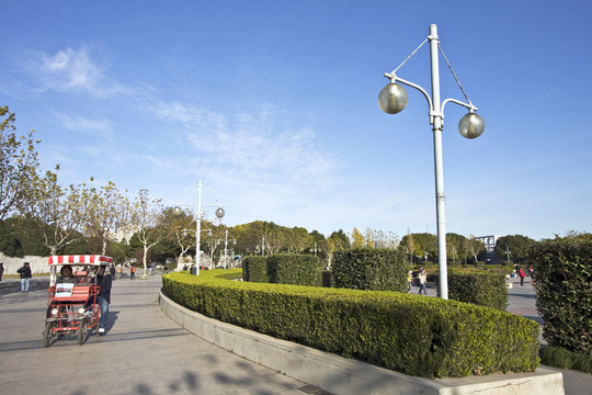 上海 浦東 世紀公園 休閑場所