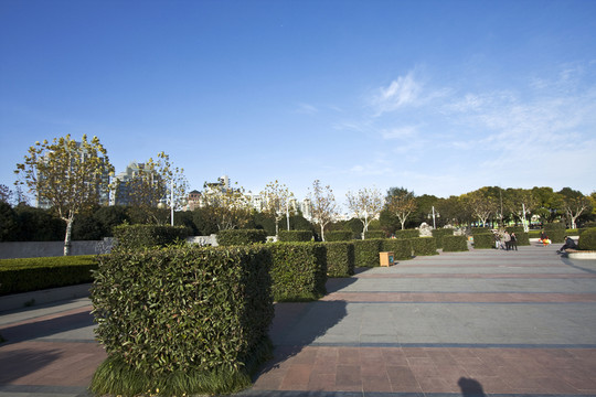 上海 浦東 世紀(jì)公園 休閑場所